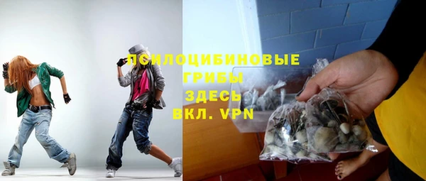 PSILOCYBIN Абдулино