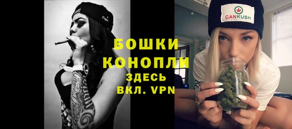 PSILOCYBIN Абдулино