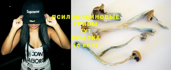 spice Абинск