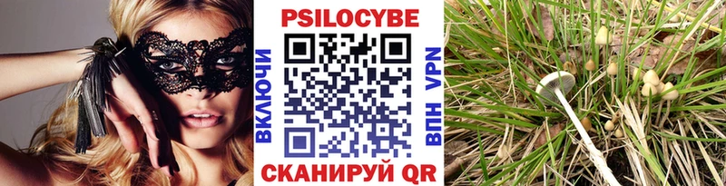 Галлюциногенные грибы Magic Shrooms Кораблино